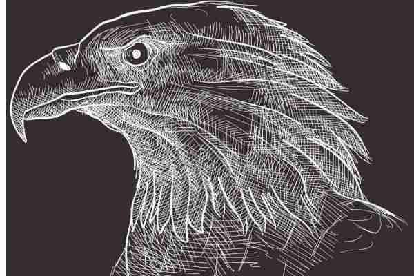 几何花纹老鹰字母印花图案服装裁片T恤卫衣烫图印花花型素材