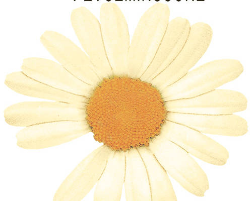 植物小邹菊字母印花图案服装裁片T恤卫衣烫图印花花型素材