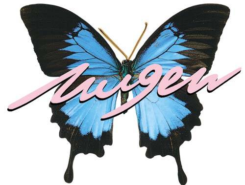 昆虫蝴蝶字母印花图案服装裁片t恤卫衣烫图印花花型素材