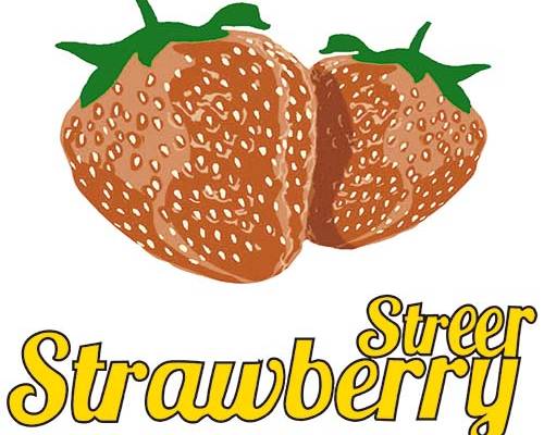 草莓字母印花图案服装裁片T恤卫衣烫图印花花型素材