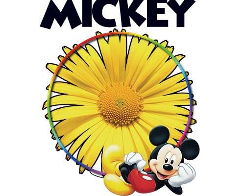 字母MICKEY菊花米奇印花图案服装裁片T恤卫衣烫图印花花型素材