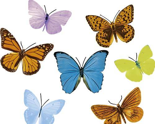 昆虫蝴蝶字母印花图案服装裁片T恤卫衣烫图印花花型素材