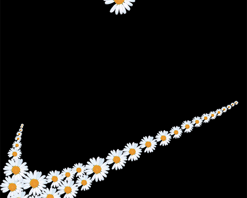 植物小皱菊NIKE潮牌印花图案服装裁片T恤卫衣烫图印花花型素材