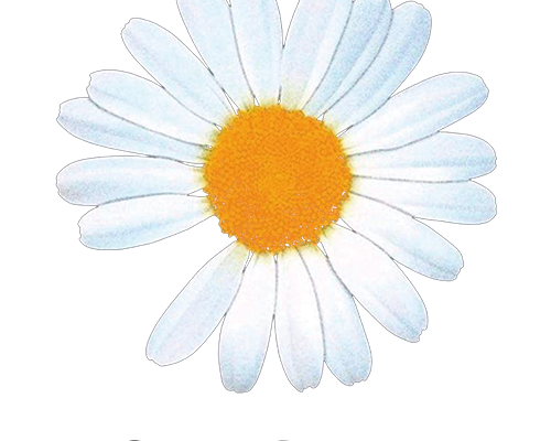 植物小皱菊字母潮牌印花图案服装裁片T恤卫衣烫图印花花型素材