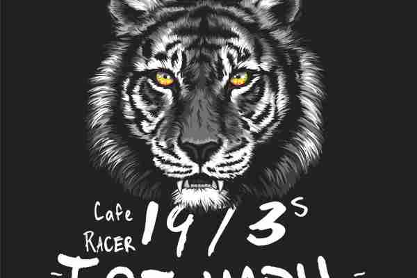 动物老虎字母潮牌印花图案服装裁片T恤卫衣烫图印花花型素材