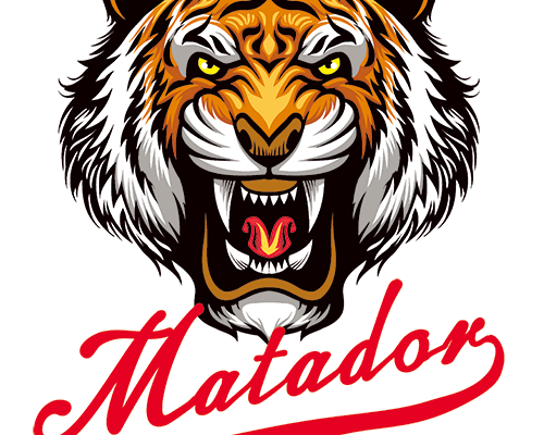 动物老虎头像字母潮牌印花服装裁片T恤卫衣烫图印花花型素材