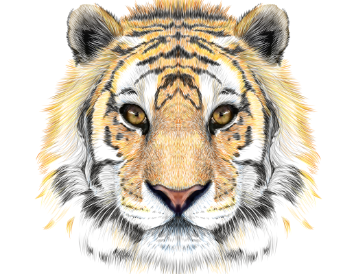 动物老虎头像印花图案服装裁片T恤卫衣烫图印花花型素材