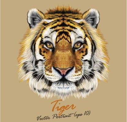 动物老虎头像字母印花图案服装裁片T恤卫衣烫图印花花型素材