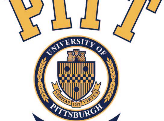 字母PITT印花图案服装裁片T恤卫衣烫图印花花型素材