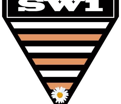 字母图案三角形小皱菊印花服装裁片T恤卫衣烫图印花花型素材