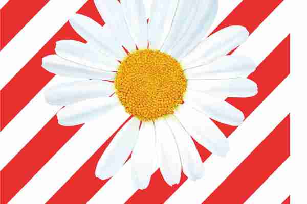 红色线条字母OFF-WHITE小皱菊潮牌印花图案服装裁片T恤卫衣烫图印花花型素材