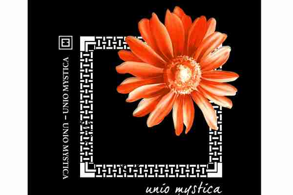 几何图案植物小皱菊字母印花服装裁片T恤卫衣烫图印花花型素材