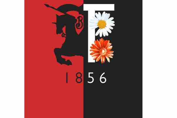 植物小皱菊潮牌印花图案服装裁片T恤卫衣烫图印花花型素材