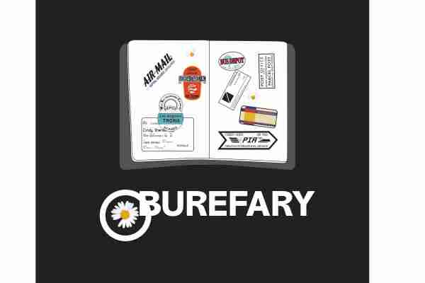 字母潮牌BUREFARY小皱菊印花图案服装裁片T恤卫衣烫图印花花型素材