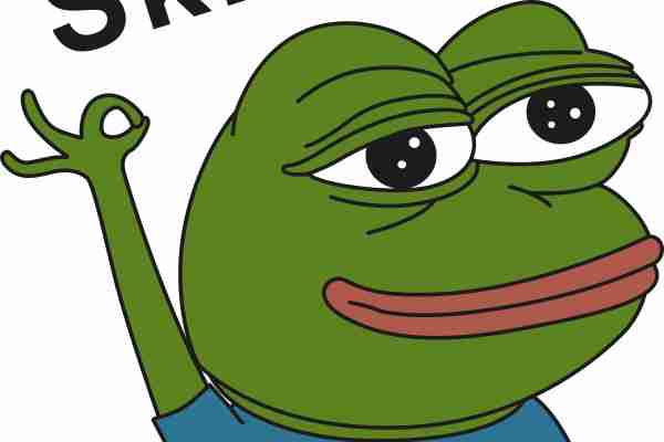 SKR青蛙潮牌印花服装裁片T恤卫衣烫图印花花型素材