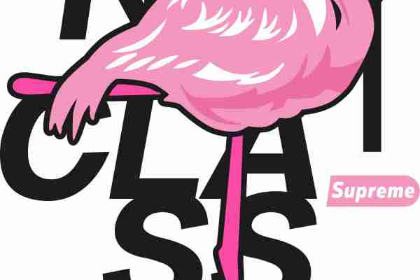 动物火烈鸟字母潮牌印花服装裁片T恤卫衣烫图印花花型素材