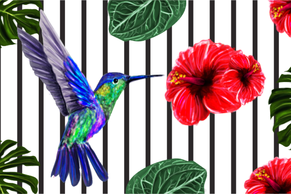 几何条子蜂鸟花朵印花图案服装纺织数码印花花型素材