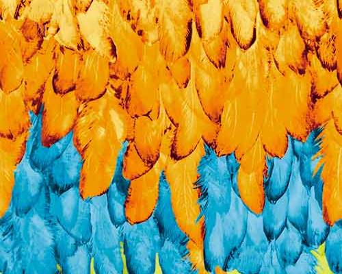 多彩羽毛印花图案服装纺织数码印花花型素材