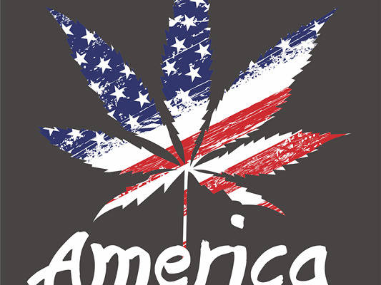 植物叶子美国国旗字母AMERICA印花图案服装裁片T恤卫衣烫图印花花型素材