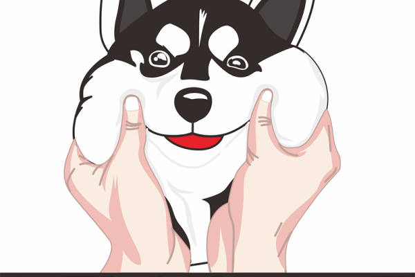 卡通动物二哈印花图案服装裁片T恤卫衣烫图印花花型素材