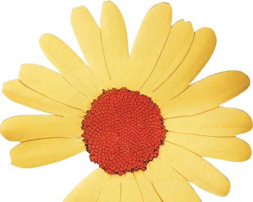 植物花朵小雏菊闪电潮牌印花图案服装裁片T恤卫衣烫图印花花型素材