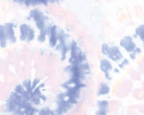 扎染印花图案服装纺织数码印花花型素材