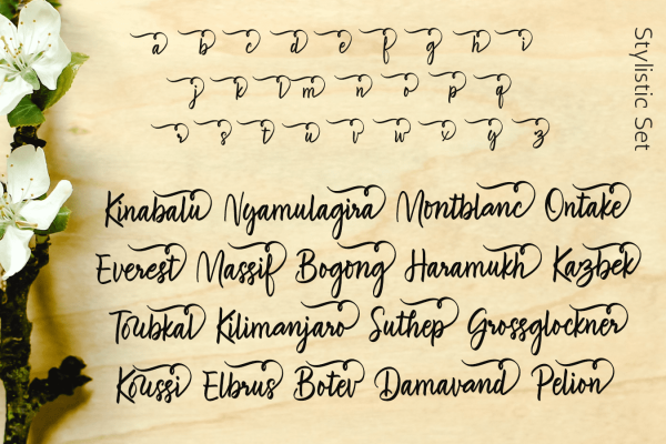 Brave Youthquakes 字体