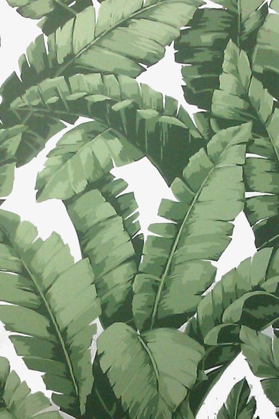 Palm Leaf White Transparent, Palm Leaf, Palm, Leaves PNG Image For Free Download