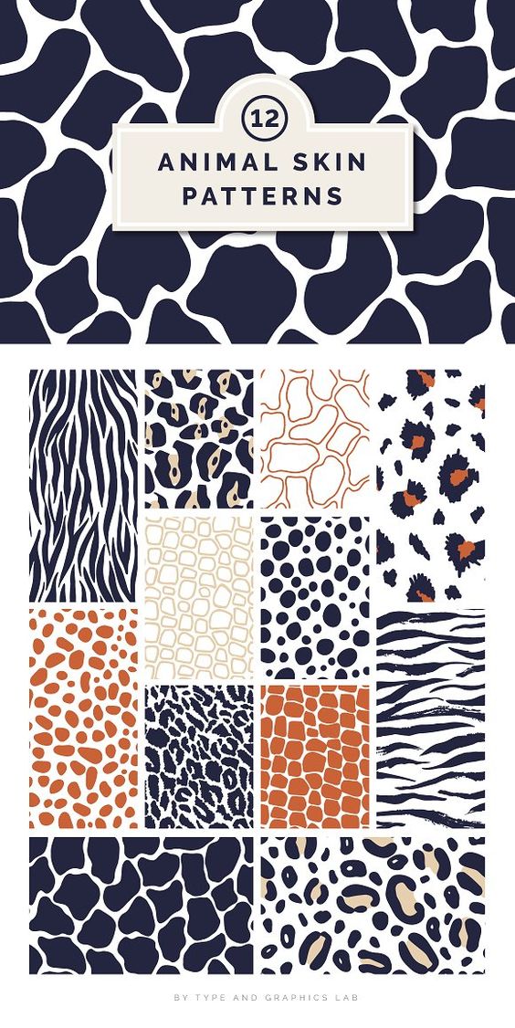 12 Animal Skin Patterns by > on @creativemarket