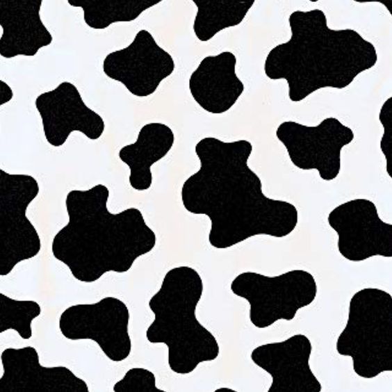 A Guide To Prints | the concept wardrobe