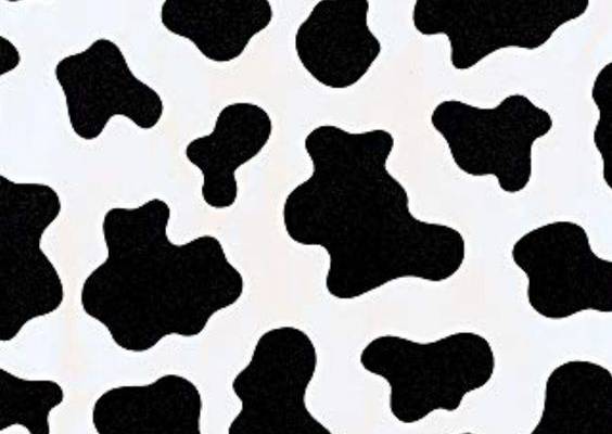 A Guide To Prints | the concept wardrobe