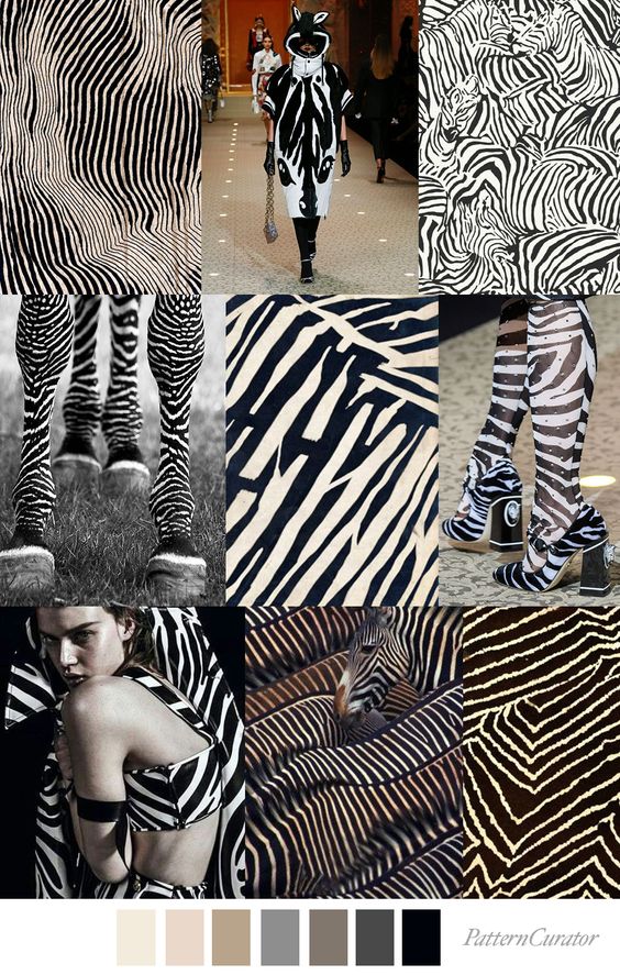 Pattern Curator ZEBRA LINES