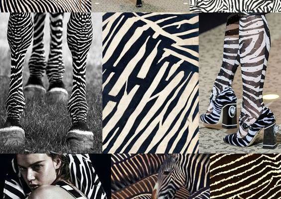 Pattern Curator ZEBRA LINES