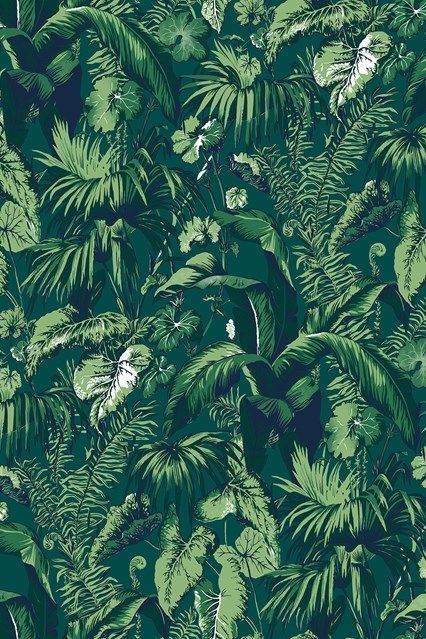 73 of the best wallpapers and Rita Konig’s advice on choosing them
