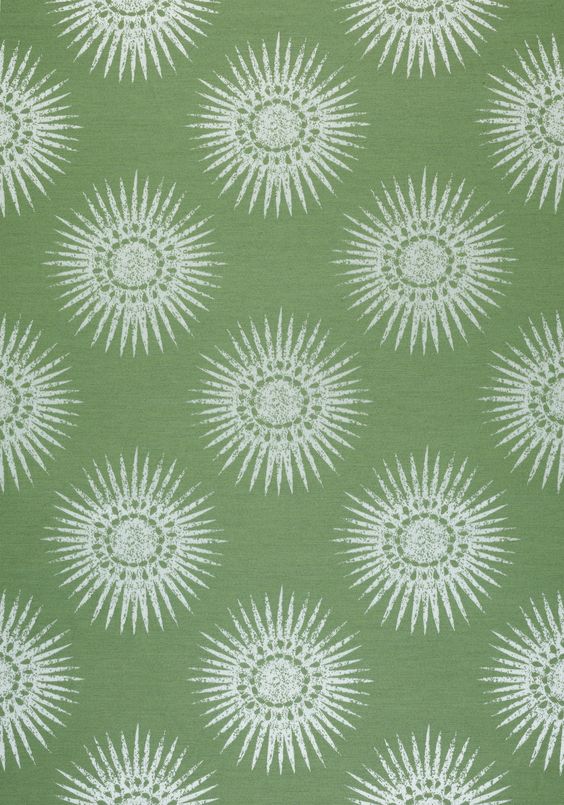 W80777 BAHIA WOVEN Woven Fabrics Green from the Thibaut Solstice collection