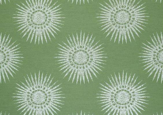 W80777 BAHIA WOVEN Woven Fabrics Green from the Thibaut Solstice collection