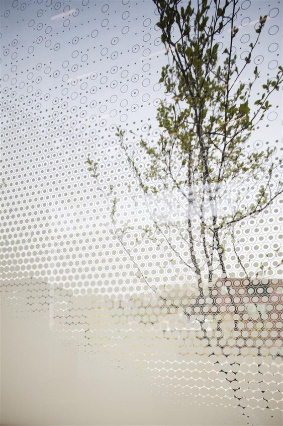 White Block Gallery / SsD