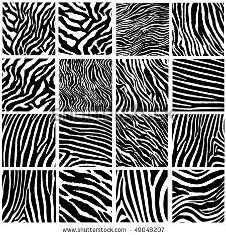 Highly Detailed Zebra Vector Pack 16 Stock Vector (Royalty Free) 49048207 | Shutterstock