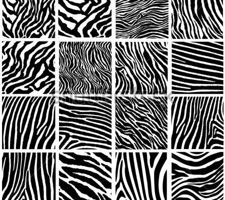 Highly Detailed Zebra Vector Pack 16 Stock Vector (Royalty Free) 49048207 | Shutterstock