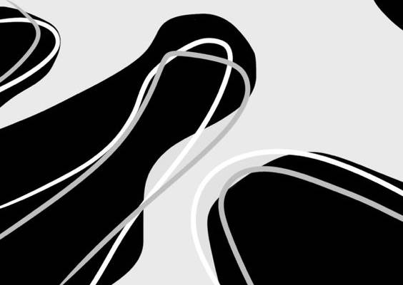 Wallpaper iPhone cow