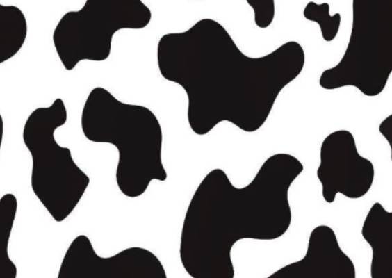 Cow print things
