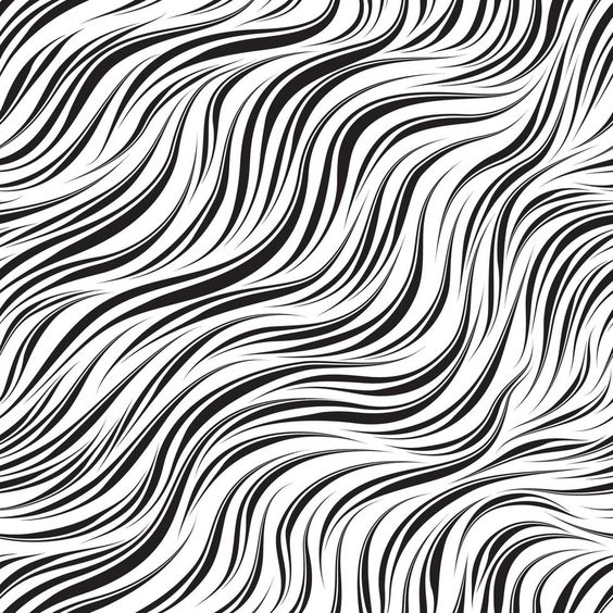 Download Seamless black vector pattern isolated on a white background. Texture of smooth flowing waves for textile and packaging. Zebra skin. for free