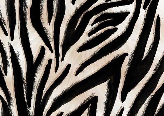 zebra print
