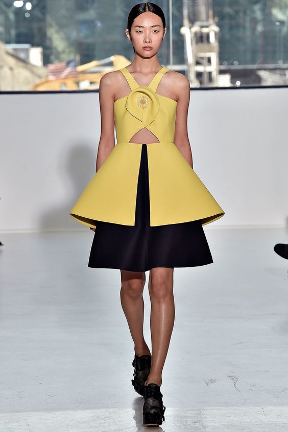 Delpozo Spring 2015 Ready-to-Wear Fashion Show – Ji Young Kwak