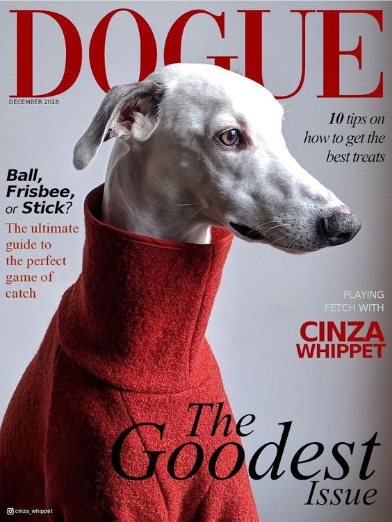 Vogue-Cover-Pets-Challenge