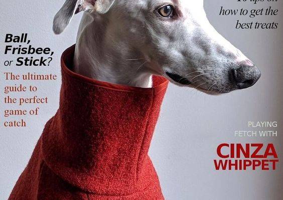 Vogue-Cover-Pets-Challenge