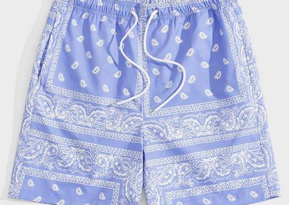 Blue Boho Collar  Fabric Paisley Straight Leg Embellished Non-Stretch Spring/Summer/Fall Men Bottoms