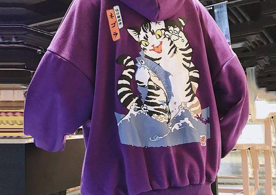 Pullover Print Loose Men's Hoodies