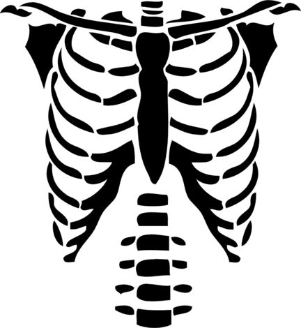 Ribcage