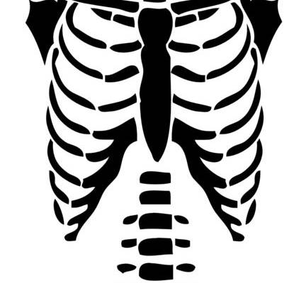 Ribcage